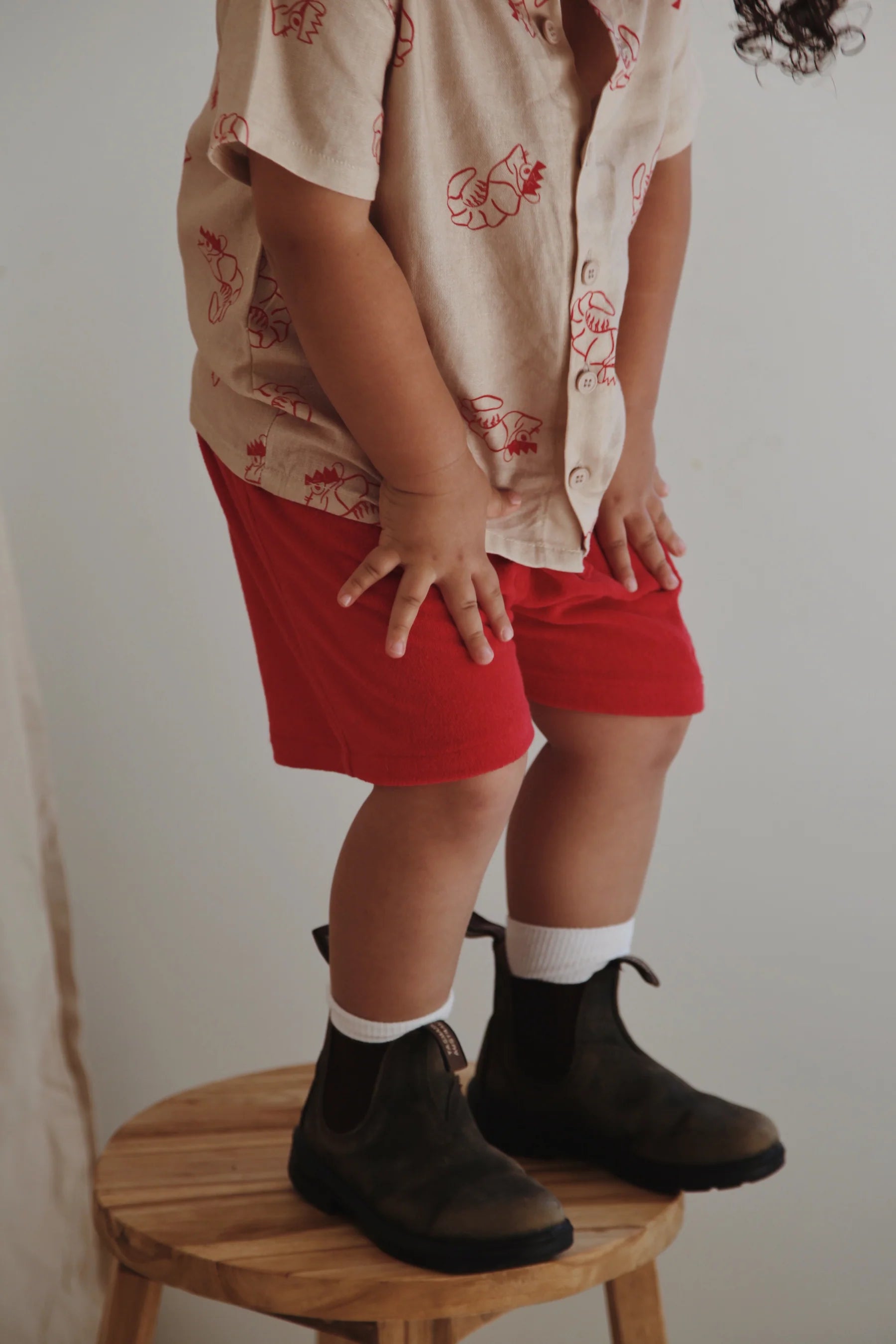 ZIGGY LOU | SHORTS | SHAWN THE PRAWN