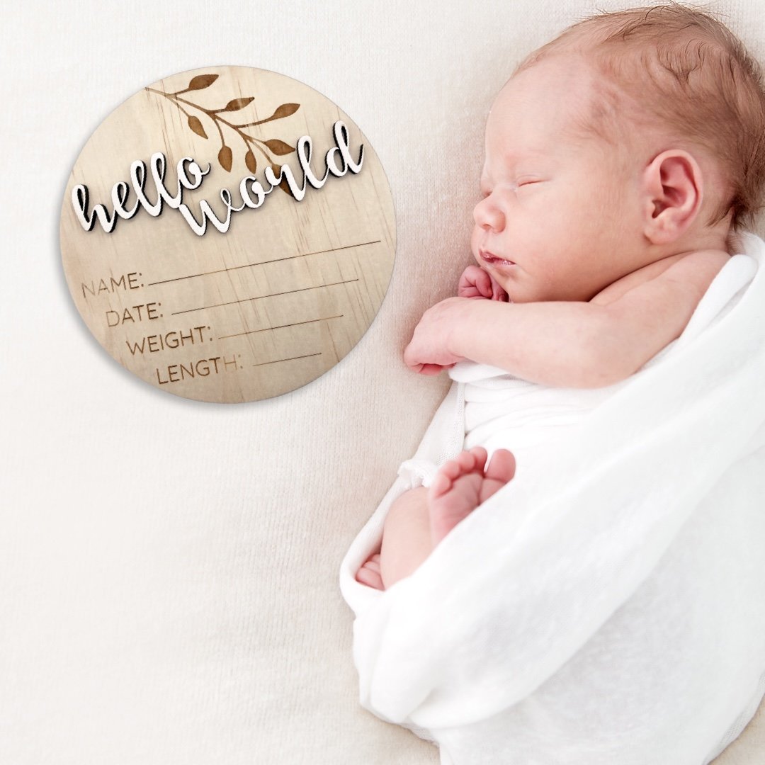 Timber Tinkers 3D Hello World Birth Announcement Plaque