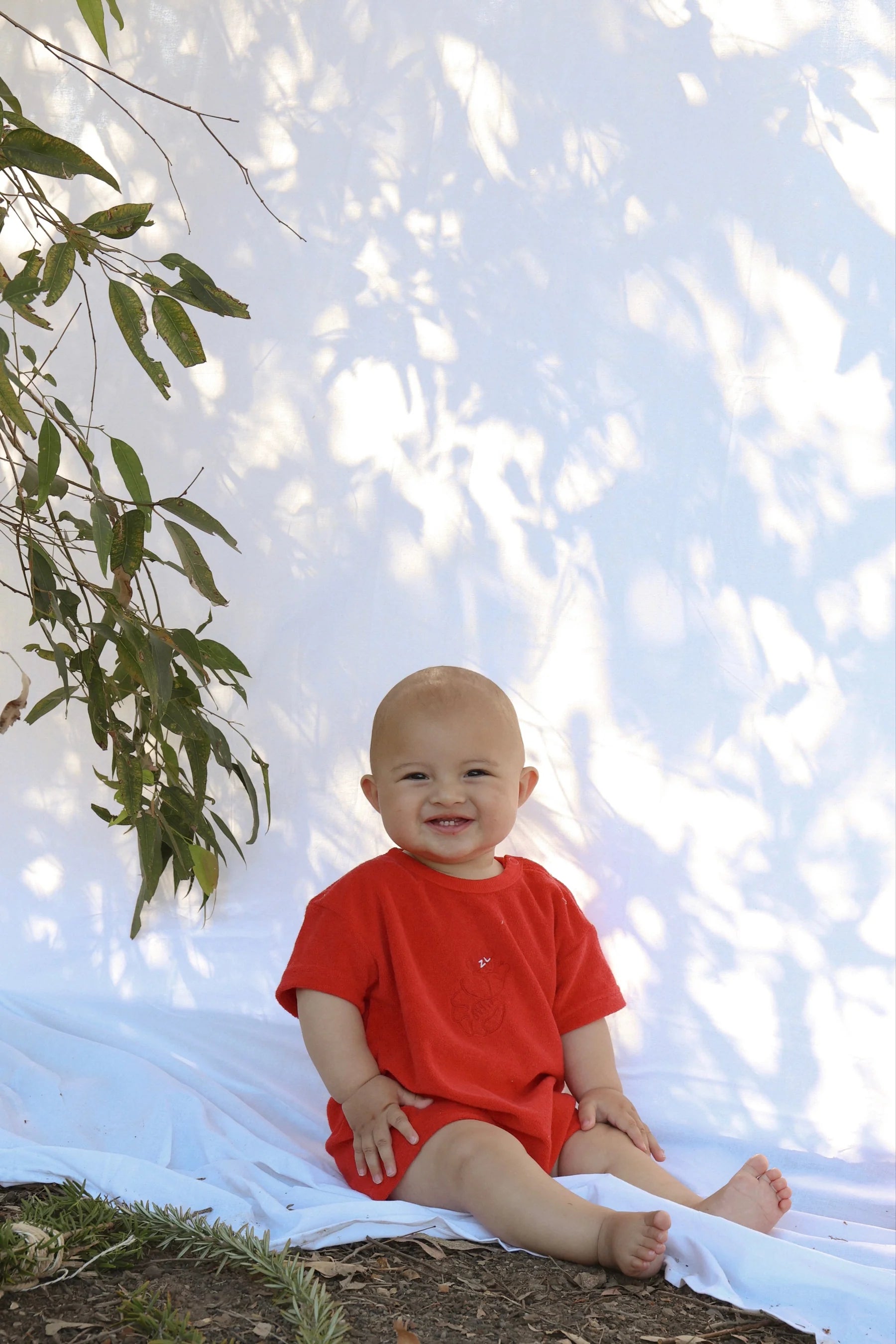 ZIGGY LOU | PLAYSUIT | SHAWN THE PRAWN