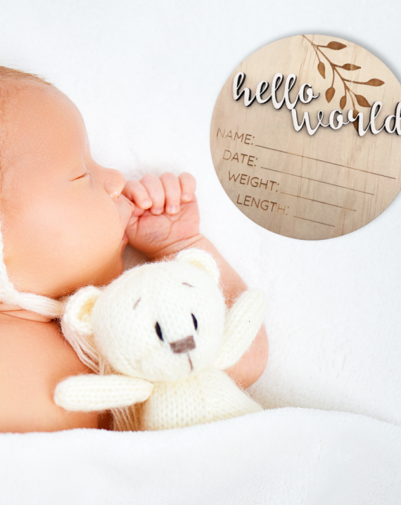Timber Tinkers 3D Hello World Birth Announcement Plaque